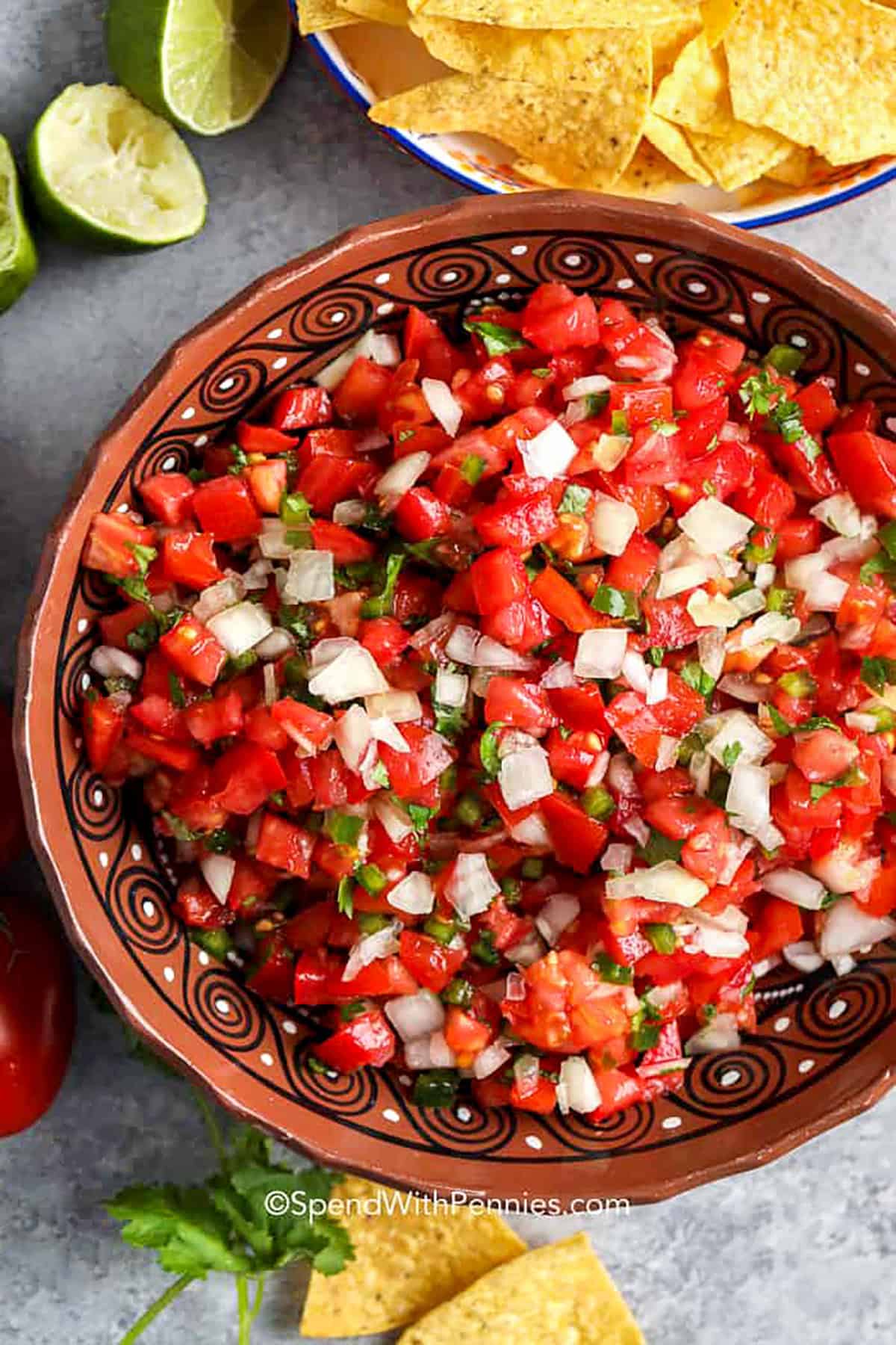Pico de Gallo vs. Salsa: Understanding the Fresh Difference
